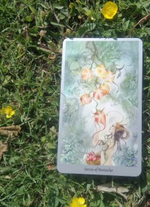 7pentaclesshadowscape